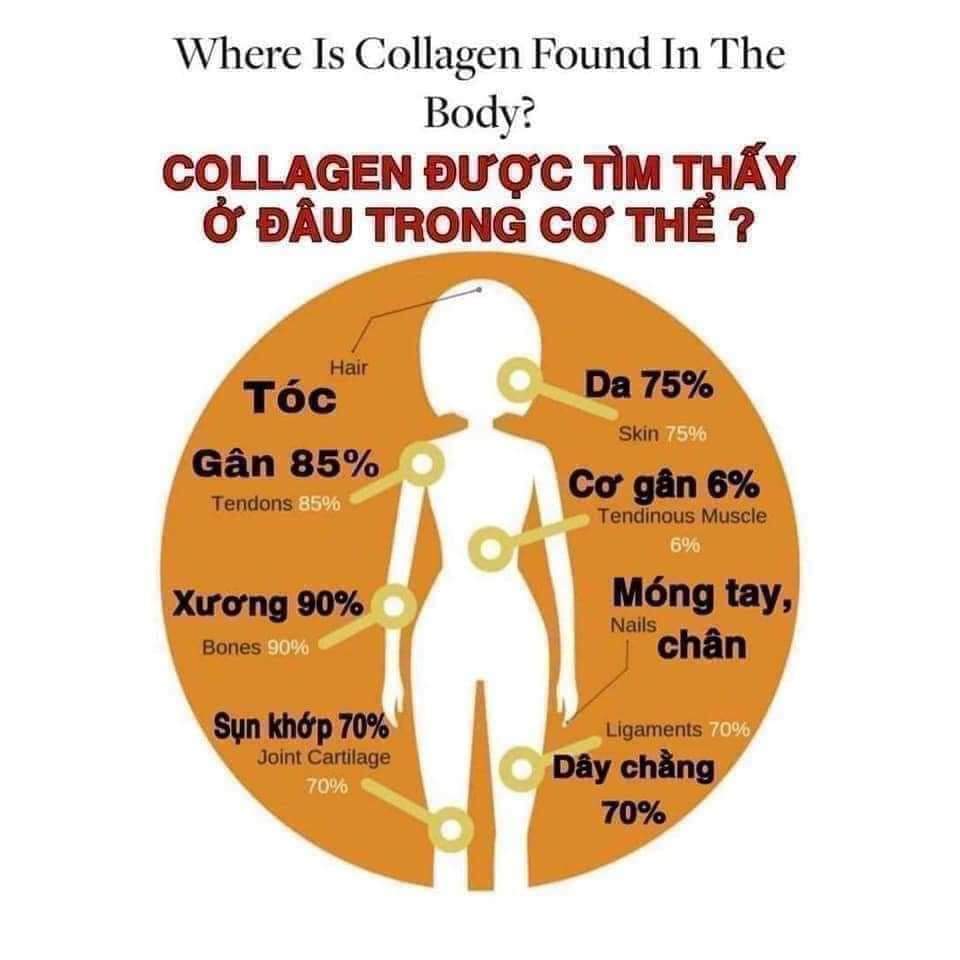 Thực phẩm bảo vệ sức khỏe: Collagen Plus NuSkin 30 Gói/ Hộp (Date công ty /2025)