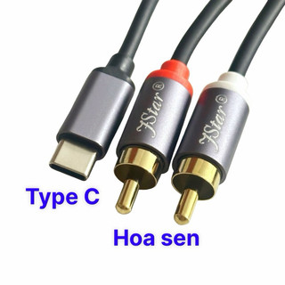 Dây cáp âm thanh chuyển đổi từ Type C sang 2 hoa sen từ điện thoại ra loa
