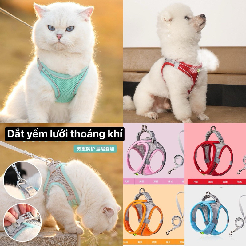 dây dắt yếm phản quang cho chó thoáng khí
