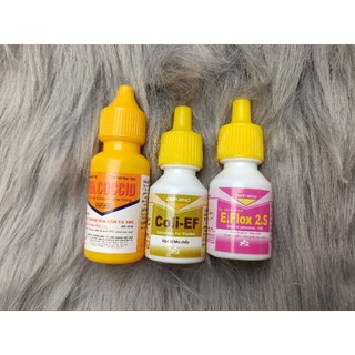 Cầu trùng - Ecoli cho thỏ và chuột lang