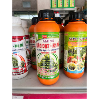 Phân bón Amino kéo đọt ra rễ mai vàng, phục hồi cây suy, ra rễ cực mạnh, bung chồi vọt đọt