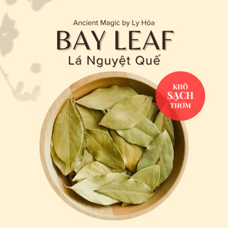100g BAY LEAF (Lá Nguyệt Quế) khô | Gia vị, Spell, Witchcraft... | Ancient Magic by Ly Hỏa