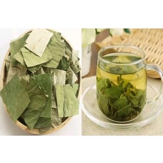 Lá sen non hà nội cực thơm _ vụ mới 2024