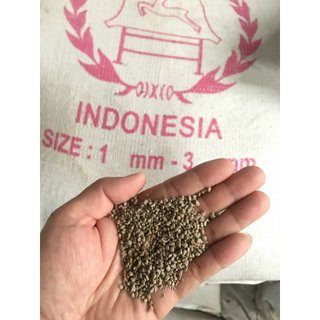 2kg Đá Pumice Indo- đá bọt pumice  đủ size