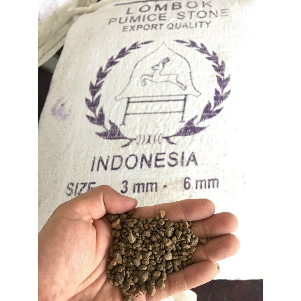 2kg Đá Pumice Indo- đá bọt pumice  đủ size