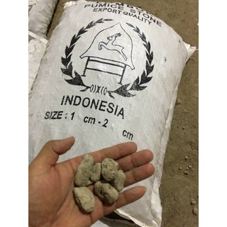 2kg Đá Pumice Indo- đá bọt pumice  đủ size