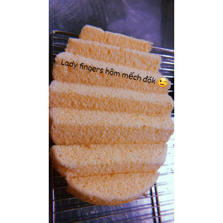 Tiramisu gato