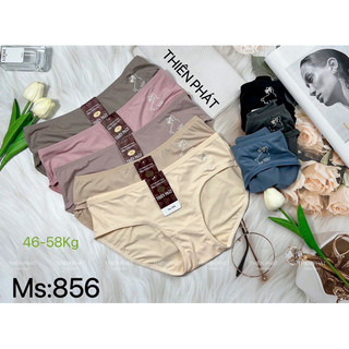 Quần lót 856 thun lạnh cao cấp