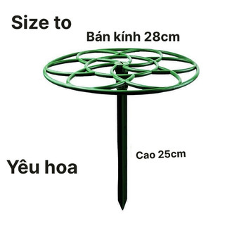 Khung giá đỡ hoa mười giờ hình trụ nhiều kích thước