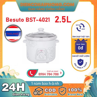 Nồi kho cá nấu cháo chậm Besuto 2.5L