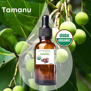 USDA Organic dầu Mù u Tamanu oil nguyên chất cho các vấn đề về da (mù u xanh)