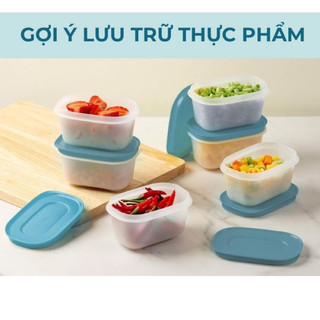 Set 6 hộp đông dẻo mini 170ml Tupperware
