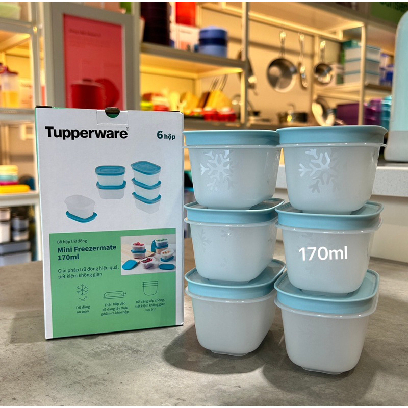 Set 6 hộp đông dẻo mini 170ml Tupperware