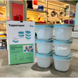 Set 6 hộp đông dẻo mini 170ml Tupperware