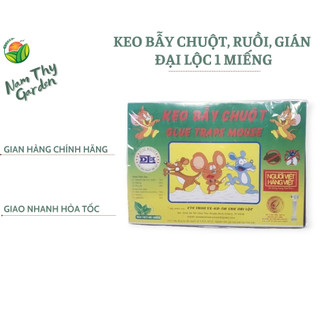 Keo bẫy chuột Đại Lộc, keo bẫy ruồi, bẫy gián, keo dính chuột Đại Lộc 1 miếng