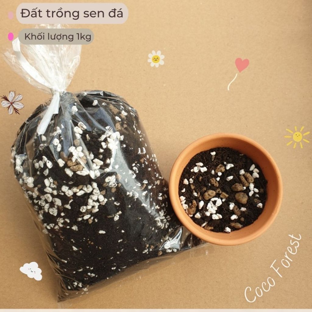 Đất trồng sen đá, xương rồng trộn sẵn 1 Kg 🔥Coco Forest🔥 siêu phẩm trồng sen đá, xương rồng