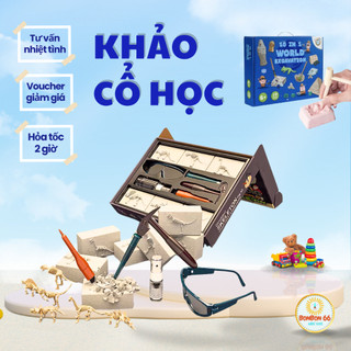 Đồ chơi khảo cổ - khai quật khủng long hóa thạch tìm kho báu đá quí - khảo cổ hóa thạch cho bé bonbon66.shop