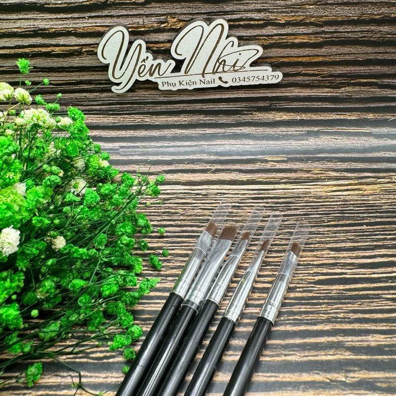 SET 5 CỌ BẢN VẼ TRANG TRÍ MÓNG