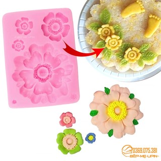 Khuôn silicon vỉ hoa cúc khuôn hoa cúc mã HC84