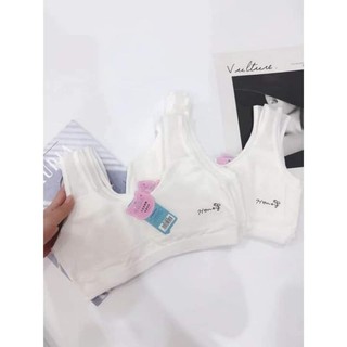 ÁO NGỰC HỌC SINH LOẠI 2 DÂY