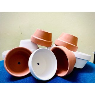 [Giá sỉ] Chậu đất nung các kích thước