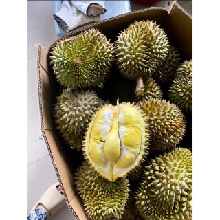 [kg]Cơm sầu riêng thái.( chín cây)