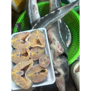Cá Tầm Sapa khay 500g (giao tphcm)