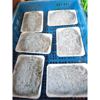 Cá cơm mờm sữa khay 500g
