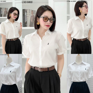 Áo sơ mi cộc tay cổ đức thêu thỏ vnxk màu trắng cho nữ