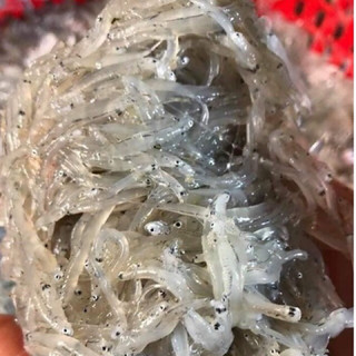CÁ CƠM MỜM SỮA - Khay 500g net 9 (giao tphcm)