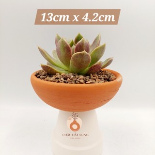 Chậu đất nung, chậu sen đá - Chảo 134202, miệng chậu 13cm, chiều cao 4.2cm