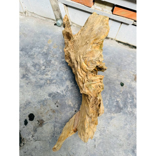 Lũa gỗ decor tiểu cảnh - ( Ship hoả tốc TPHCM)