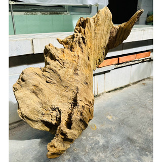 Lũa gỗ decor tiểu cảnh - ( Ship hoả tốc TPHCM)