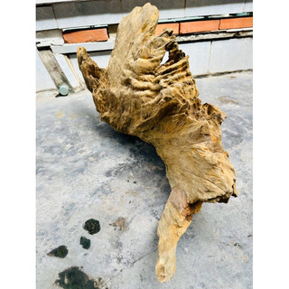 Lũa gỗ decor tiểu cảnh - ( Ship hoả tốc TPHCM)