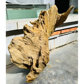 Lũa gỗ decor tiểu cảnh - ( Ship hoả tốc TPHCM)