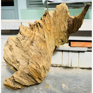 Lũa gỗ decor tiểu cảnh -