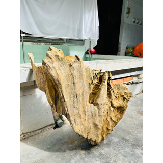 Lũa gỗ decor tiểu cảnh - ( Ship hoả tốc TPHCM)