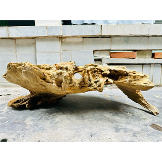 Lũa gỗ decor tiểu cảnh - ( Ship hoả tốc TPHCM)