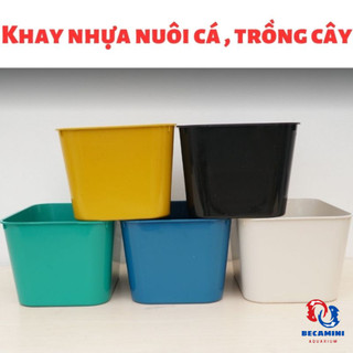 Khay nhựa nuôi cá