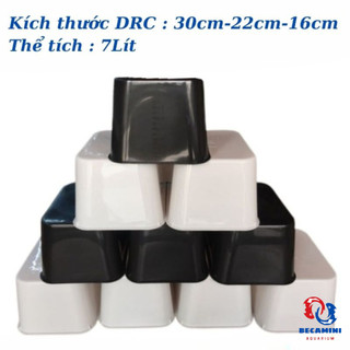 Khay nhựa nuôi cá