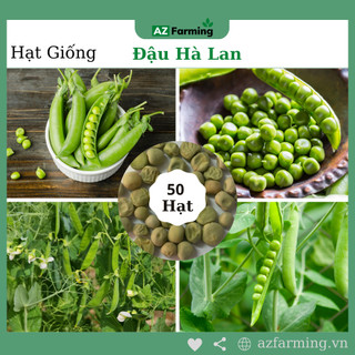 Hạt giống đậu hà lan - gói 50 hạt - az farming