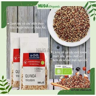 Hạt diêm mạch hỗn hợp ba màu hữu cơ (Quinoa Tricolore) - Sottolestelle