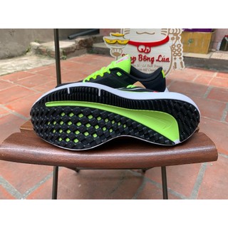 Giầy Nike Winflo 10 dòng đệm carbon!