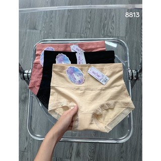 [8813] Quần cotton ôm bụng ( Set 5q)