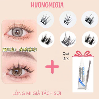 Mi giả tách sợi [TẶNG KÈM KEO+NHÍP]