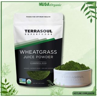 Bột nước ép cỏ lúa mì hữu cơ - Terrasoul