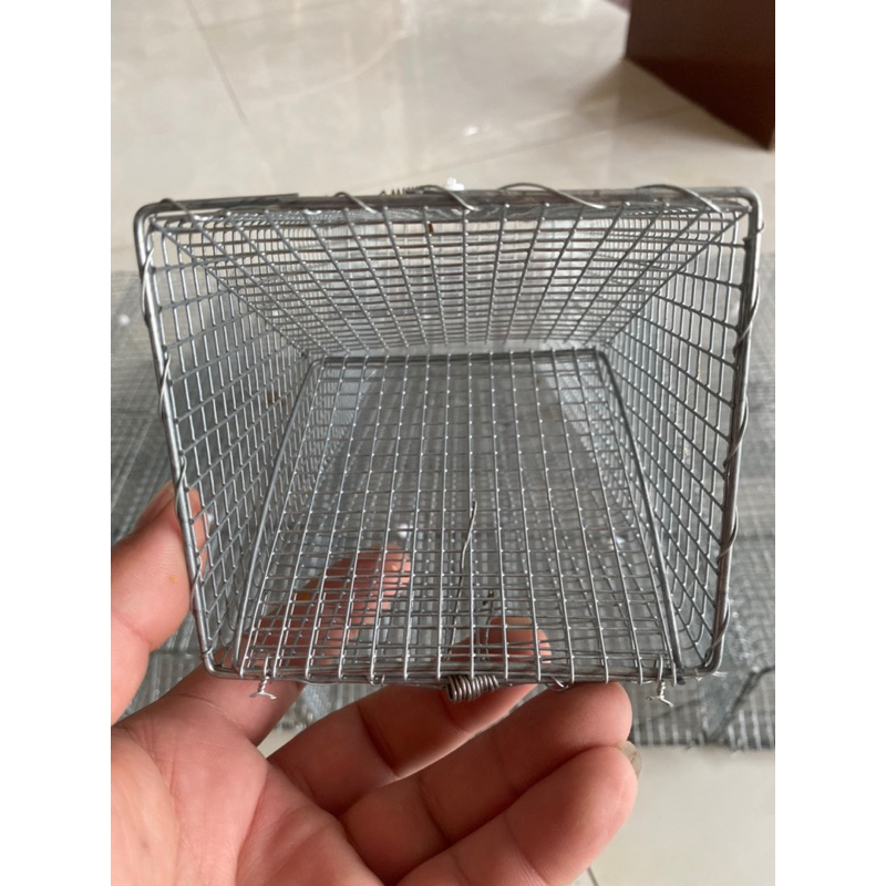 combo 5 bẫy rắn mối lưới lổ 5li