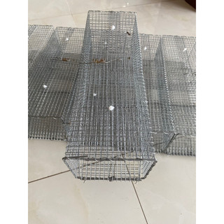combo 5 bẫy rắn mối lưới lổ 5li