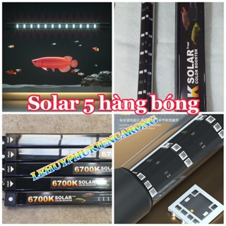  Đèn Solar 6700K 5 Hàng Bóng Sáng Rực Rỡ Công Nghệ Chíp 5054  Sản Xuất 2024  Mới Nhất Giành Cho Hồ Cá 