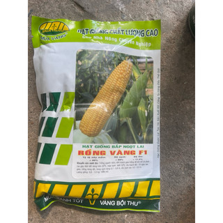 Ngô ngọt giống